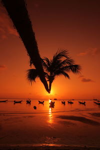 Silhouette palm tree at beach against sky during sunset