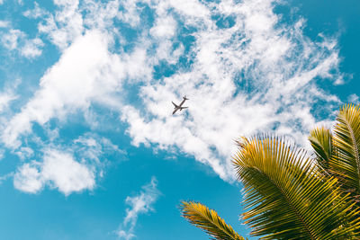 Airplane spotted flying from airport in puerto rico tropical island