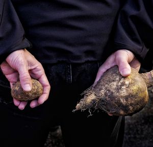 Midsection of man holding seashell