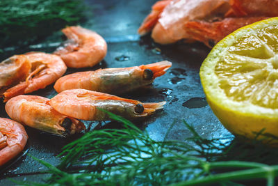 High angle view of fish on table