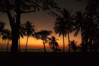 Silhouette palm trees on beach against sky at sunset