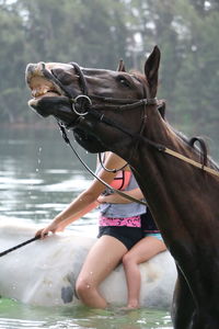 Low angle view of woman riding horse