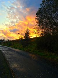 Road by trees against sky during sunset