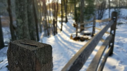 Close-up of wooden post during winter