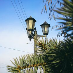 Low angle view of street light against sky