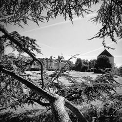 Built structure with trees in foreground