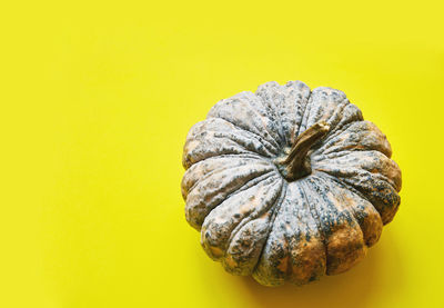 Close-up of pumpkin against yellow background