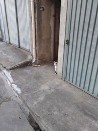 Corridor of building