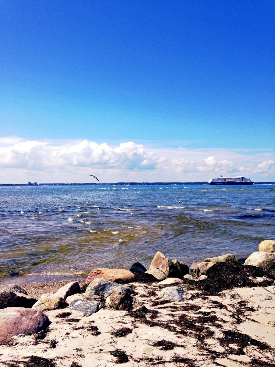 sea, water, horizon over water, nature, beauty in nature, sky, day, scenics, tranquility, sunlight, tranquil scene, outdoors, rock - object, no people, blue, beach, cloud - sky, bird