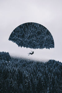 Digital composite image of person falling from tree during foggy weather