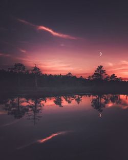 Reflection of silhouette plants in calm lake at sunset