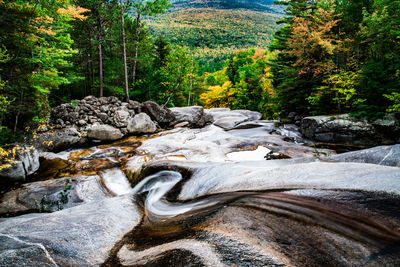 View of stream flowing through rocks in forest