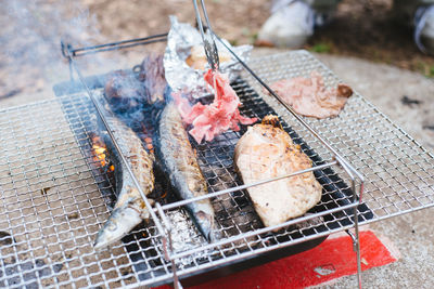 Close-up of dead animal