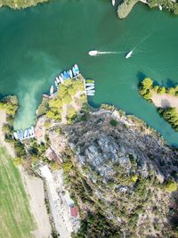 High angle view of river along trees