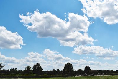 Trees on field against sky