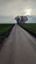 Road amidst trees on field against sky