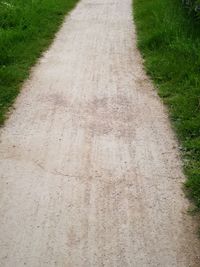 Road in field