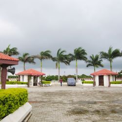 Houses by palm trees against sky