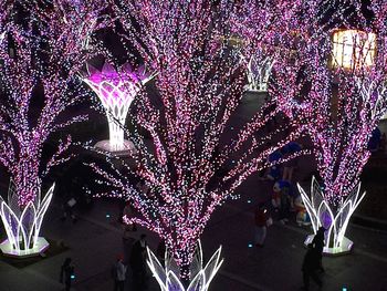 People enjoying at night