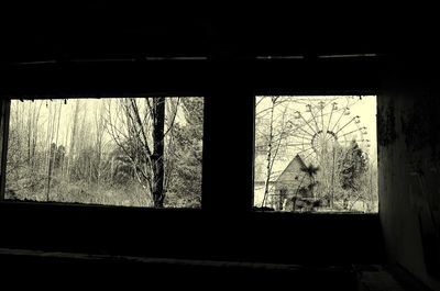 Trees seen through window