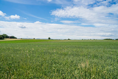 A wide view over the green field to the horizon.