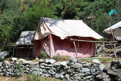 View of tent and plants outside house