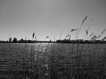 Scenic view of lake against clear sky