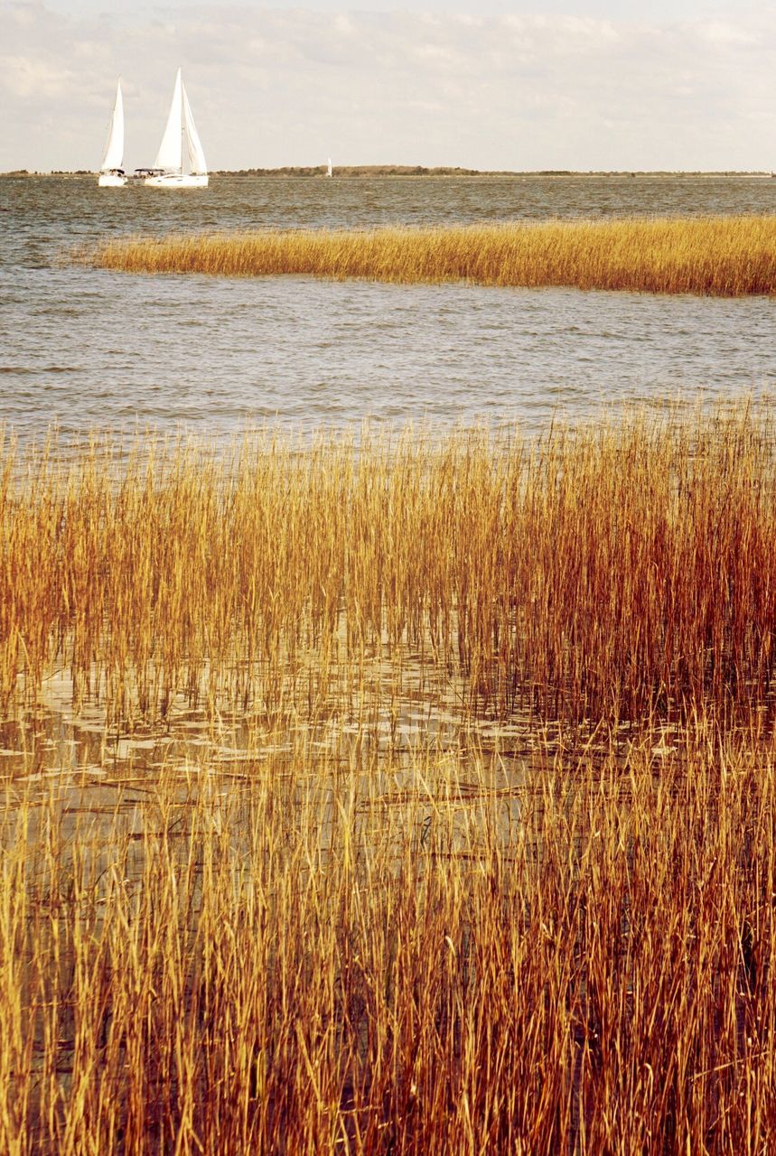 water, sea, tranquility, sky, tranquil scene, lake, grass, nature, scenics, plant, nautical vessel, built structure, beauty in nature, day, architecture, outdoors, no people, transportation, building exterior, rural scene