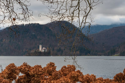 Island in lake bled. dreamlike atmosphere for the church of s. maria assunta. slovenia