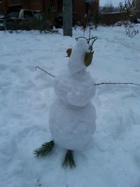 Snow on tree during winter