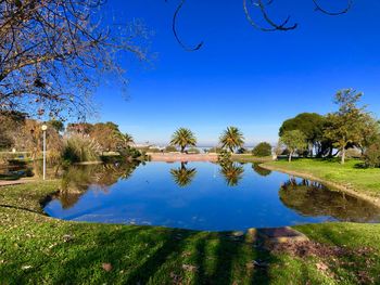 Scenic view of lake against clear blue sky