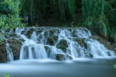 Scenic view of waterfall in forest