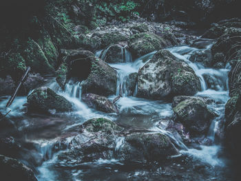 Scenic view of waterfall in forest