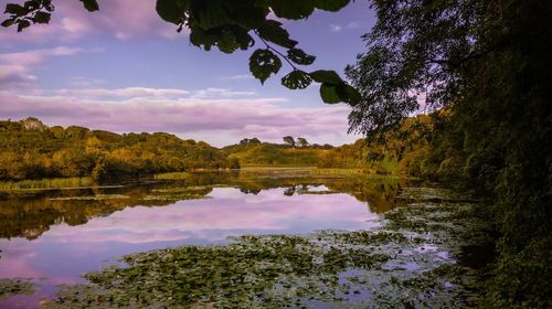 Reflection of trees in lake against sky