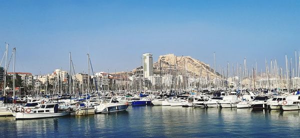 Sailboats moored in harbor against clear sky