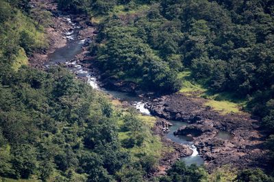 High angle view of river amidst trees in forest