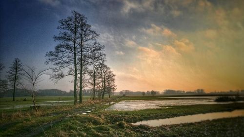 Scenic view of field against sky at sunset