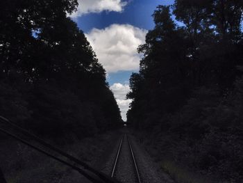 Road passing through forest