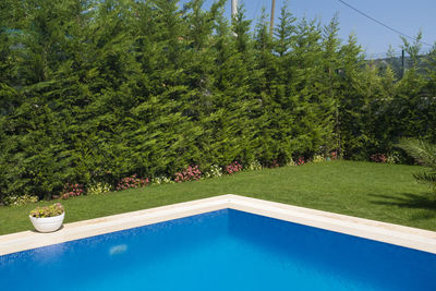 View of swimming pool in yard