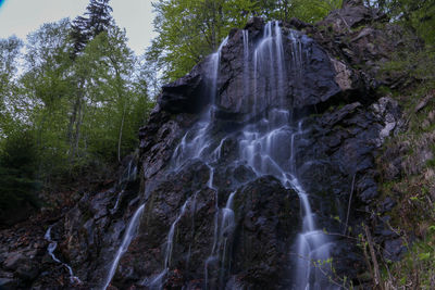 Low angle view of waterfall in forest