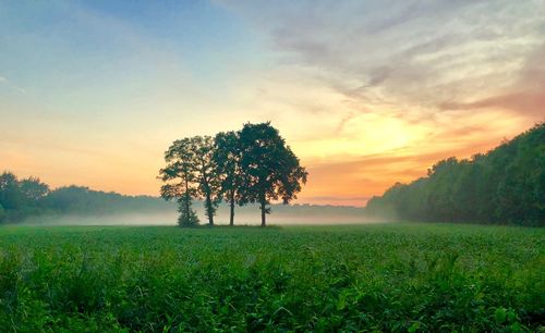 Scenic view of field against sky during sunset