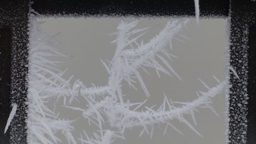 Close-up of snowflakes on snow