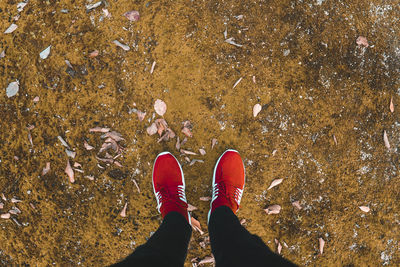 Low section of person standing on ground