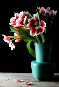 Close-up of flower vase on table against black background