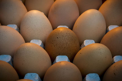 Full frame shot of pumpkins