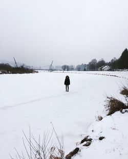 Bare trees on snow covered landscape
