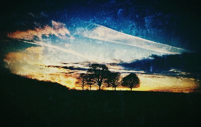 View of trees against sky