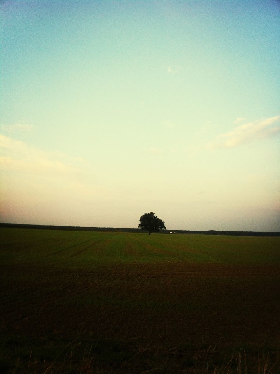 landscape, tranquil scene, field, tranquility, scenics, beauty in nature, sky, rural scene, nature, grass, horizon over land, copy space, agriculture, tree, growth, idyllic, sunset, farm, remote, solitude