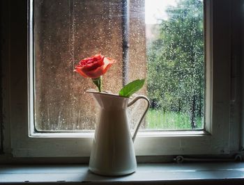 Close-up of vase on window sill