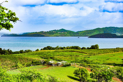 Scenic view of landscape against sky